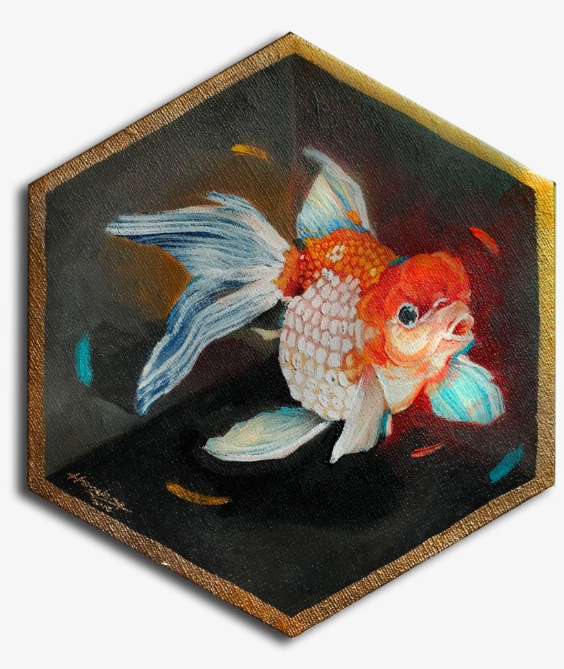 Red Capped Goldfish In Box, Gold Lined - Goldfish, transparent png #155117