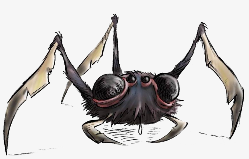 Spider - Wikia, transparent png #155248