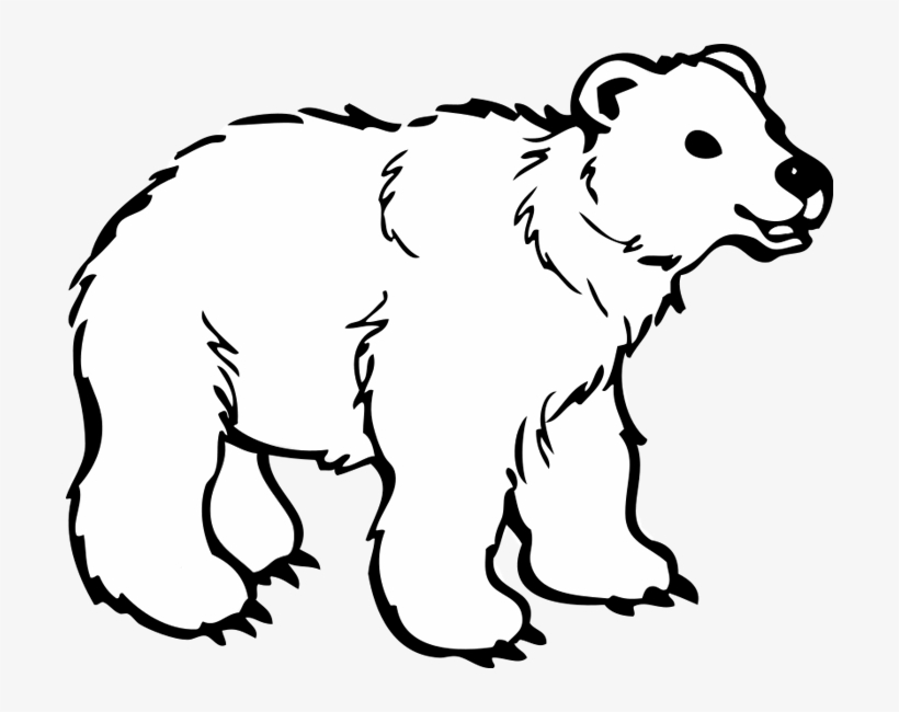 Clipart Animations White - Polar Bear Clipart Png, transparent png #155268