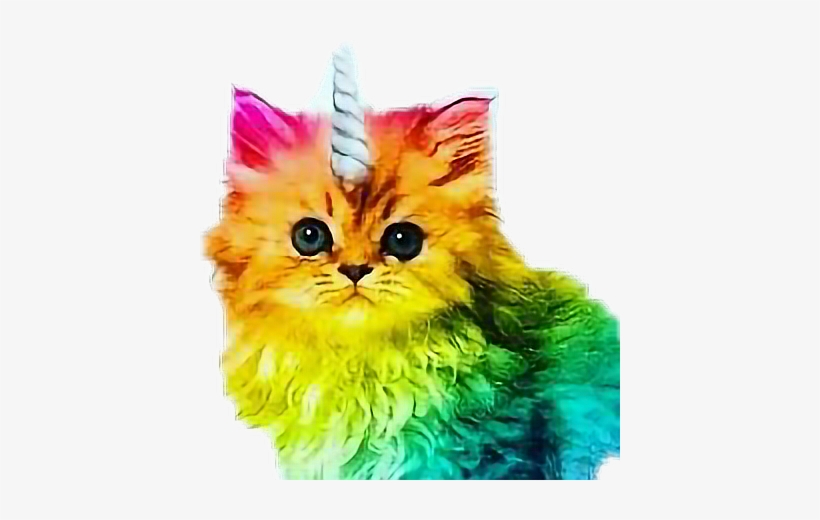 Unicorn Rainbow Cat, transparent png #155466