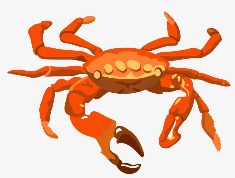 Crab Png Transparent Image - Crab Clipart Transparent, transparent png #155678