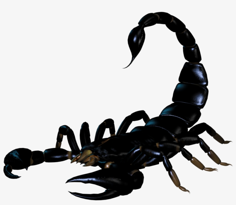 Scorpion Png, transparent png #156279