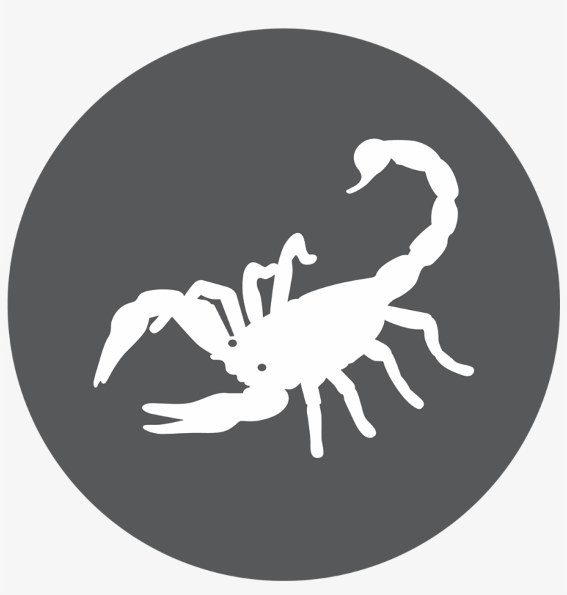 The Scorpion Brave And - Scorpio, transparent png #156326