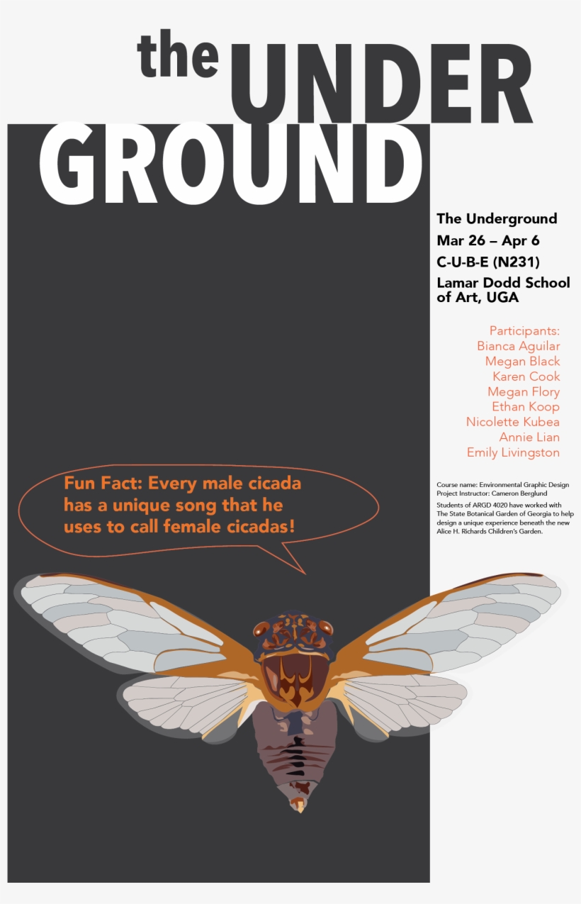 This Project Includes - Butterfly, transparent png #157056