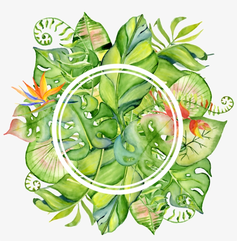 Hand Painted Bright Green Leaves Wall Png Transparent - Flamingo Tropical Drawing, transparent png #157095