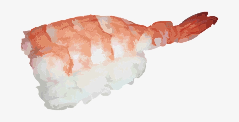 Japanese Sushi Asian Shrimp Raw Fish Food - Png Nigiri Sushi, transparent png #157620