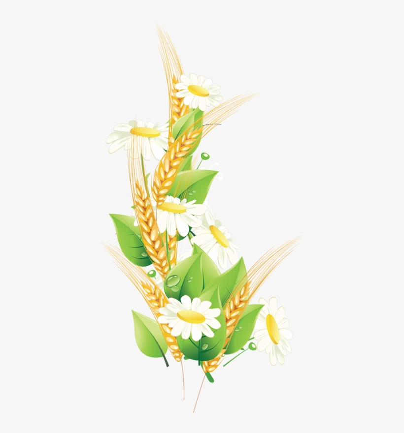 Pin By Syanya On Червона Калина - Wheat Tree Border, transparent png #157783