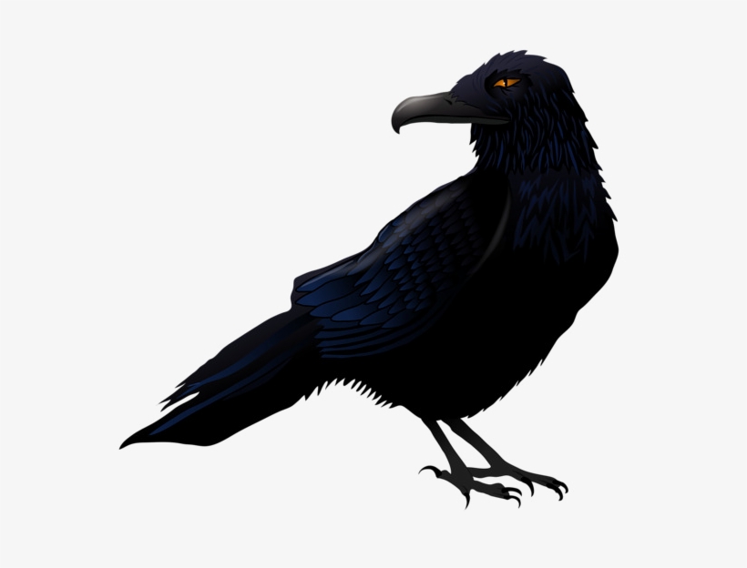Halloween Crow Png High-quality Image - Raven Clipart Png, transparent png #158456