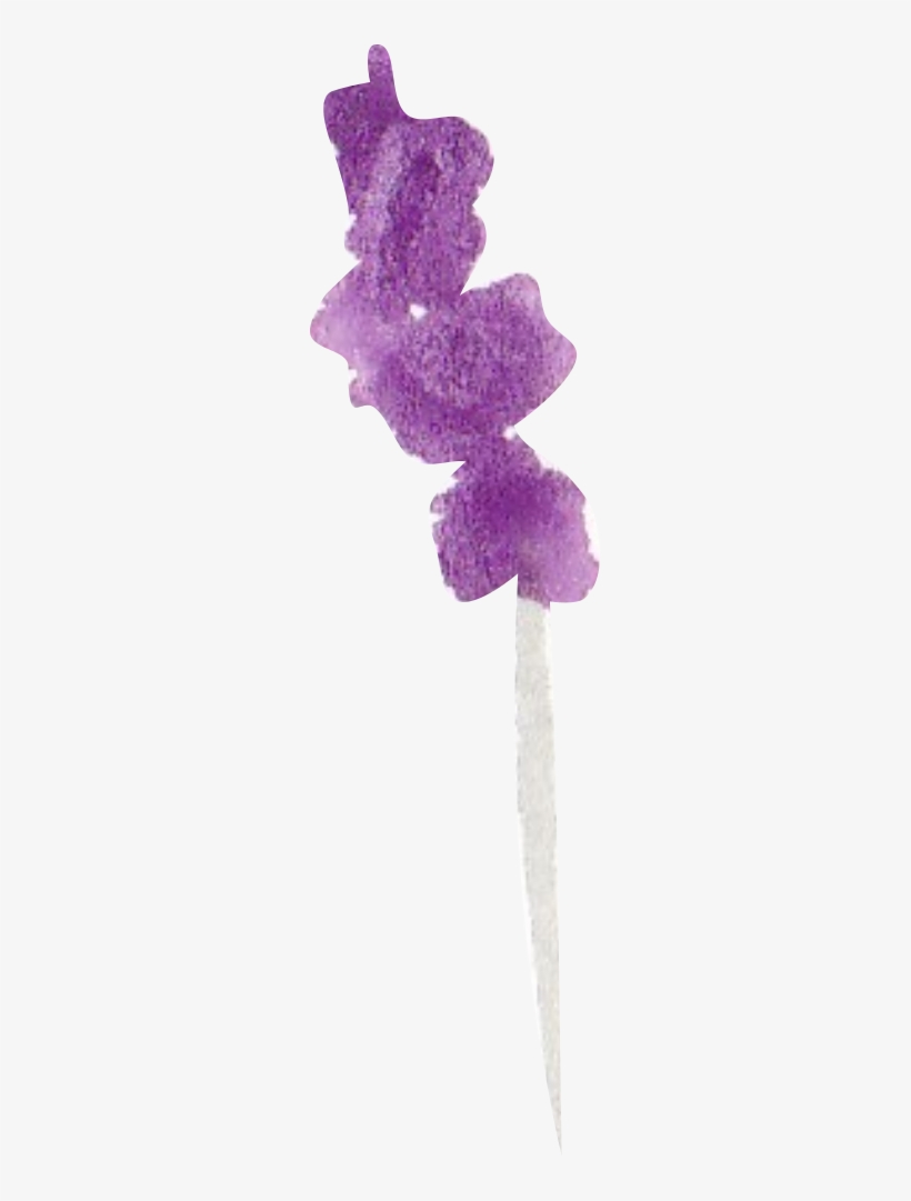 Purple Lavender In Watercolor Large - Watercolor Painting, transparent png #158524