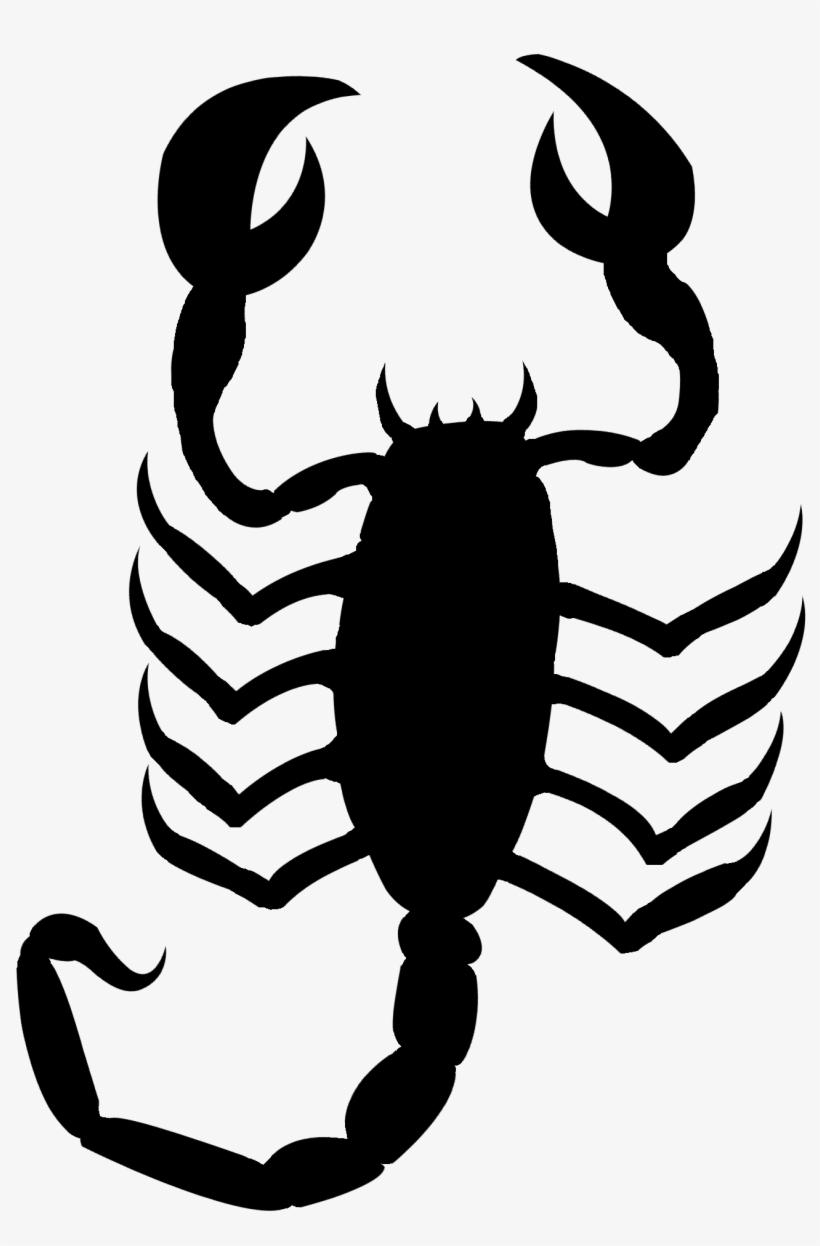Jpg Black And White Library Bugs Drawing Scorpion - Scorpion Outline Png, transparent png #158759