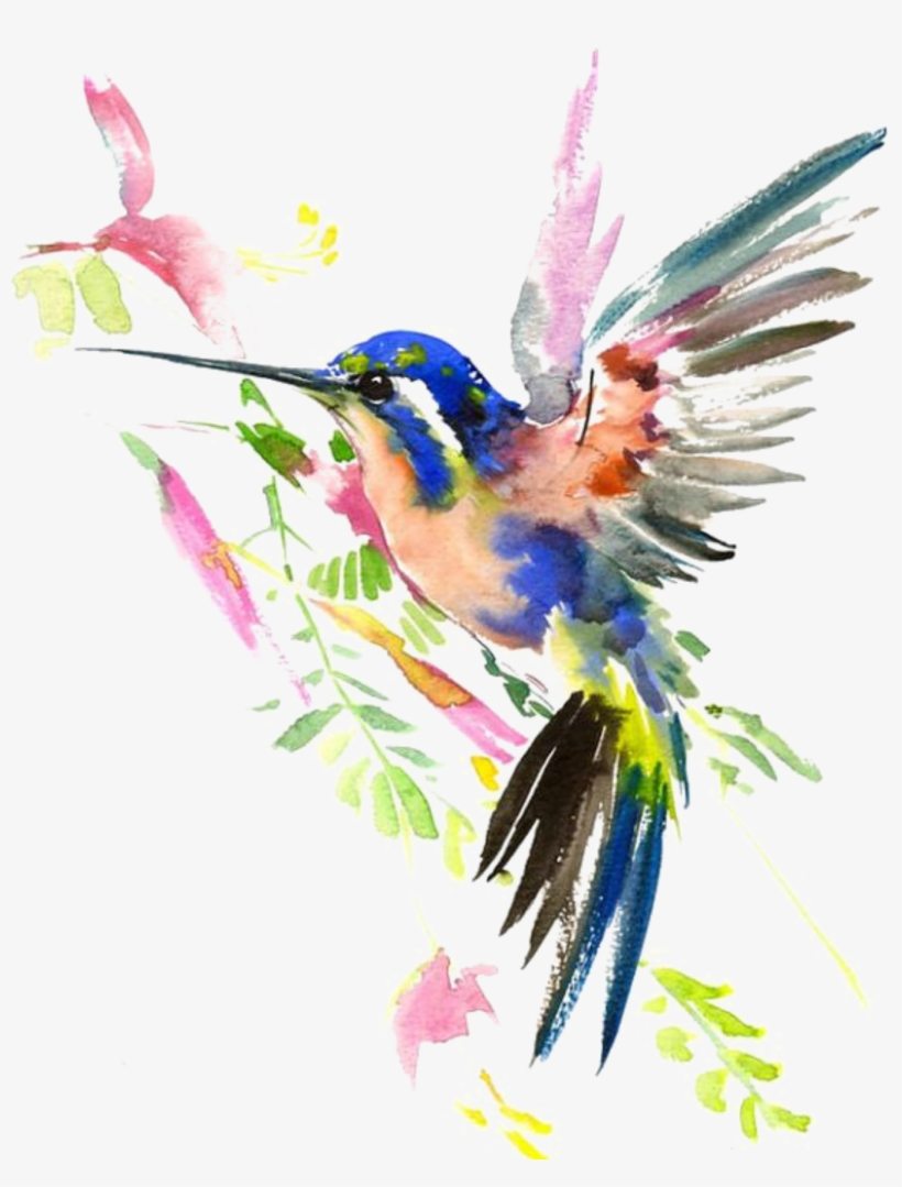 Ftestickers Watercolor Nature Hummingbird - Watercolour Birds, transparent png #158848