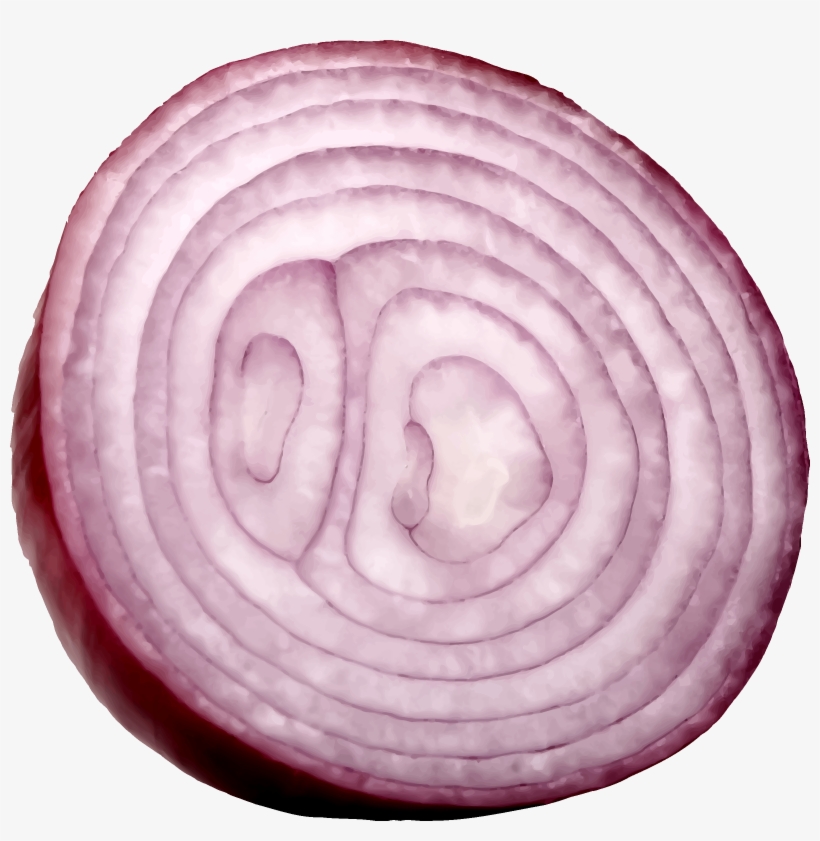 Free Icons Png - Red Onion Cut, transparent png #158851