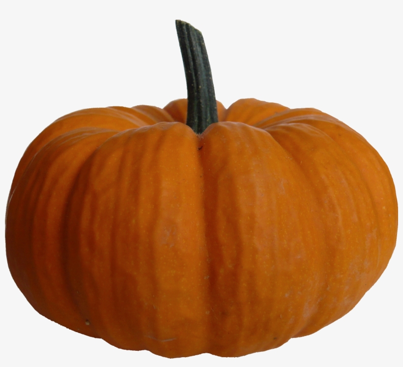 Autumn Pumpkin Transparent Png - Pumpkin Png File, transparent png #159074