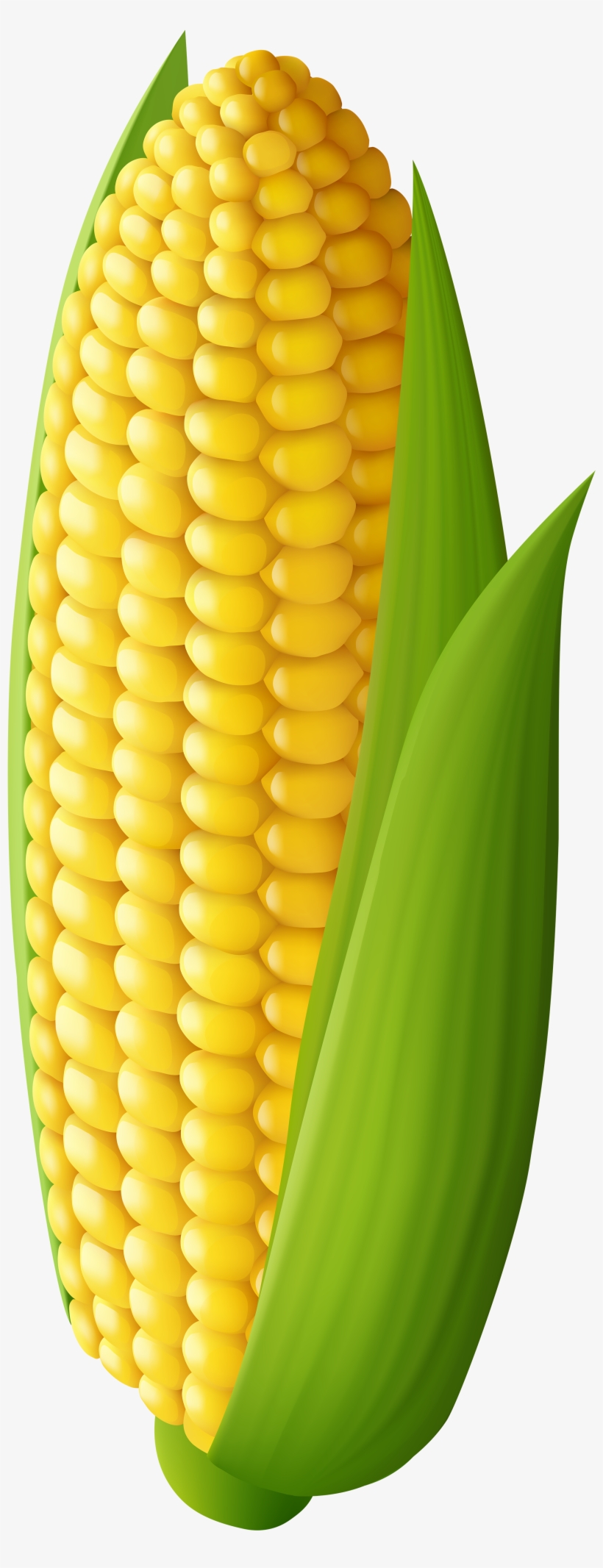 Corn Transparent Png Clip Art Image - Transparent Background Corn Clipart, transparent png #159769