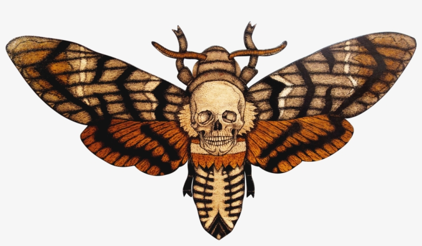 Moth Png Transparent Hd Photo - Bourbon Kid, transparent png #1502643