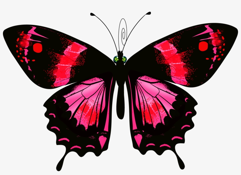 Luna Moth Clipart Transparent - Schmetterling Auf Transparent Hintergrund, transparent png #1502645