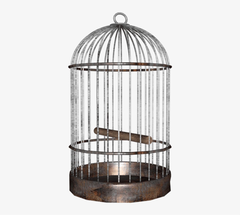 Free Png Bird Cage Png Images Transparent - Bird Cage Png, transparent png #1502647