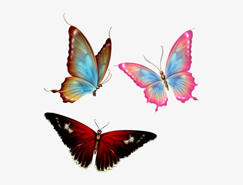 Render Papillons By Scorpionninja Art Nature - Transparent Background Butterfly Png, transparent png #1502718