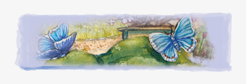 Watercolor Paint, transparent png #1502789