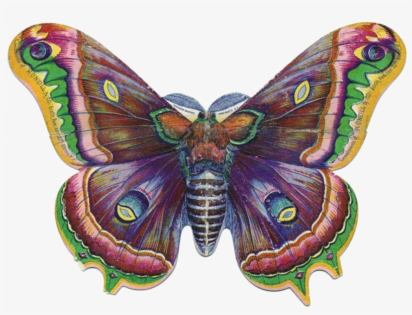 Бабочки - Png - - ♥ Creative Nn - Блог Альбины Рассеиной - Hand Made Cards - K Designs Artist Designed Lovely, transparent png #1502957