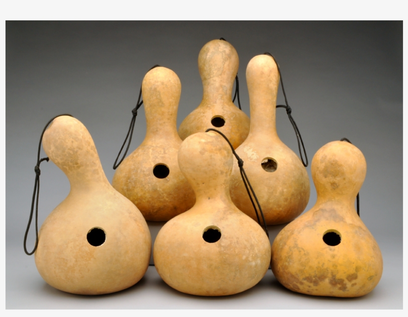 Box Of 6 Birdhouse Gourds, Pre Cut And Craft Ready - Bird House Gourds, transparent png #1503152