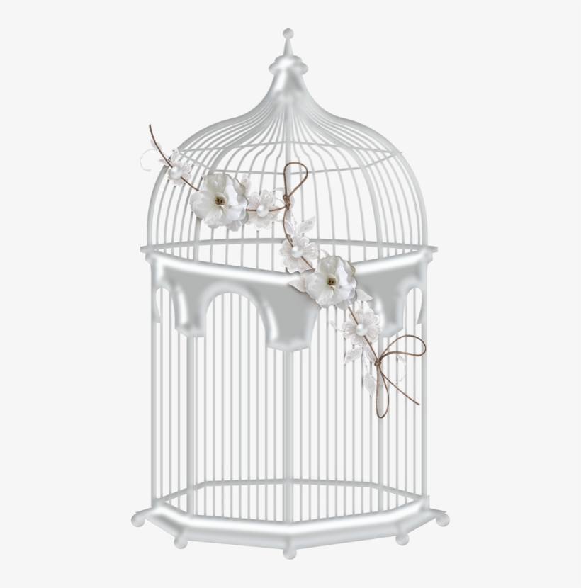 Bird Cage Transparent White, transparent png #1503511