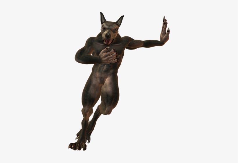 Werewolf-026 - Werewolf Png, transparent png #1503778