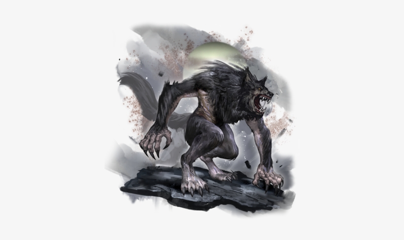 0044 - Recherche Sur Les Loups, transparent png #1503826