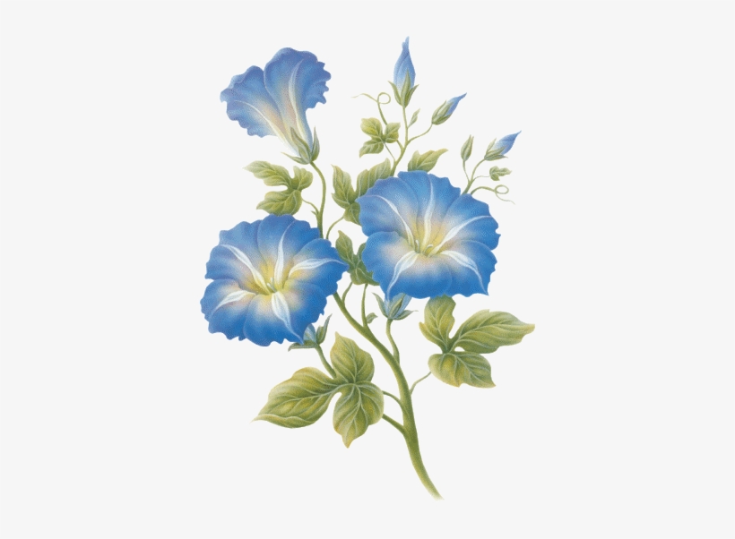 Pin By Kandrács Róza On Élet A Virágok - Mensagem Vivendo E Aprendendo, transparent png #1504428