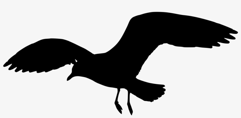 Seagull Silhouette Png, transparent png #1505383