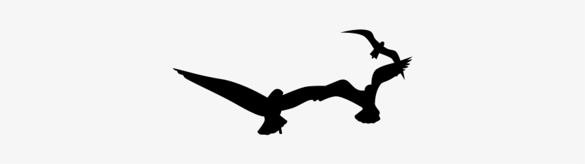 Free Vector Seagulls - Clip Art, transparent png #1505610