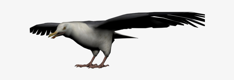 Seagull - Red Dead Redemption Seagull, transparent png #1505634
