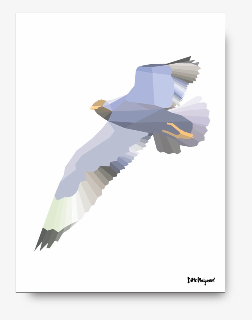 Sir Seagull Poster - Ditte Maigaard Studio, transparent png #1505675