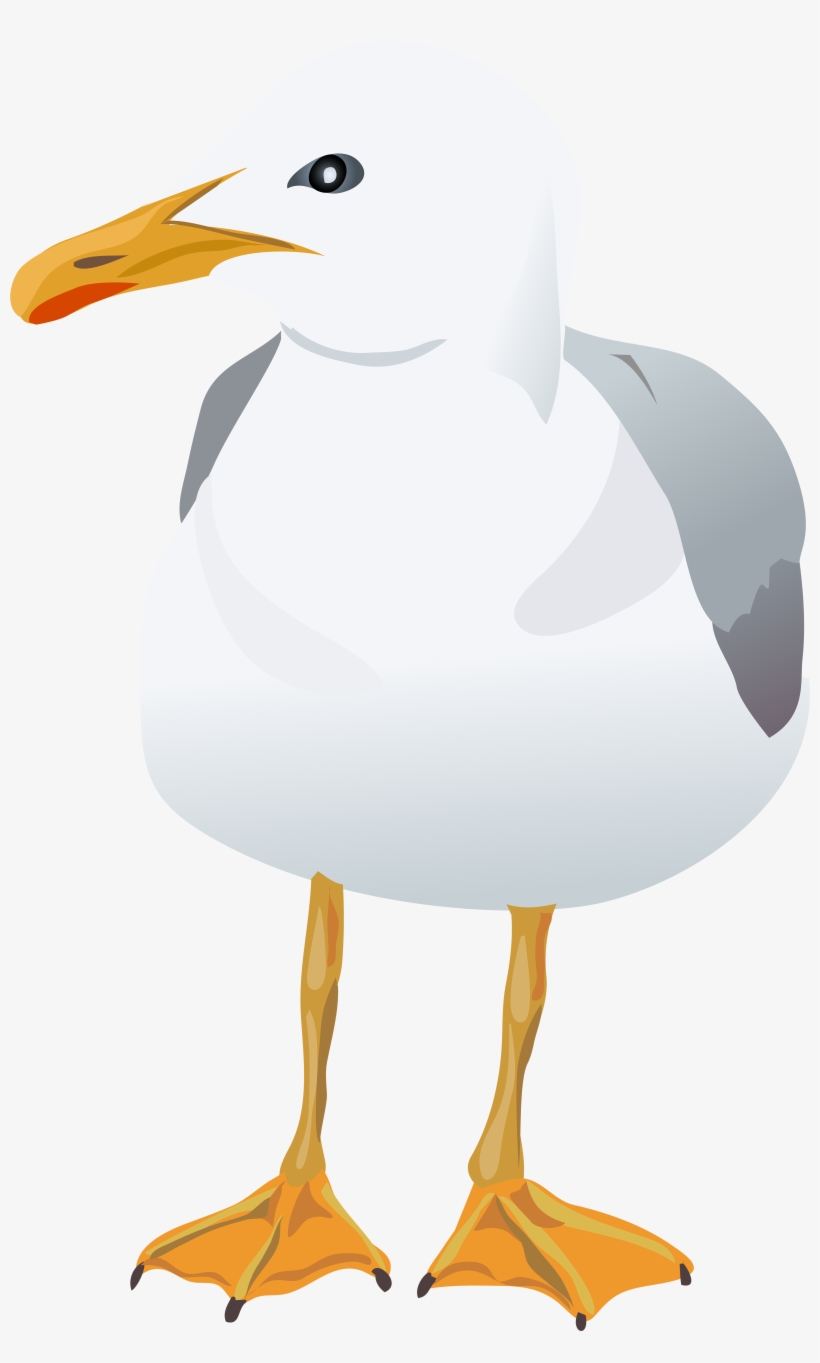 View Full Size - Portable Network Graphics, transparent png #1505778