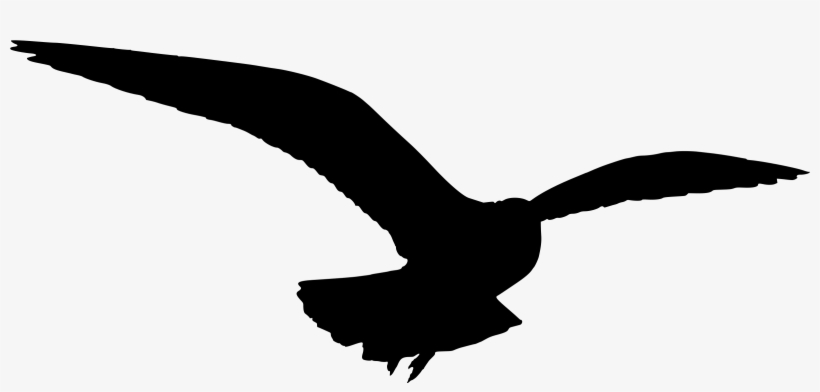 Clipart - Seagull Clip Art, transparent png #1505799
