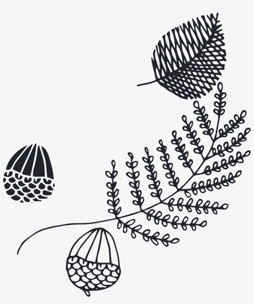 Various Types Of Leaves Cartoon Transparent - Leaf, transparent png #1506000