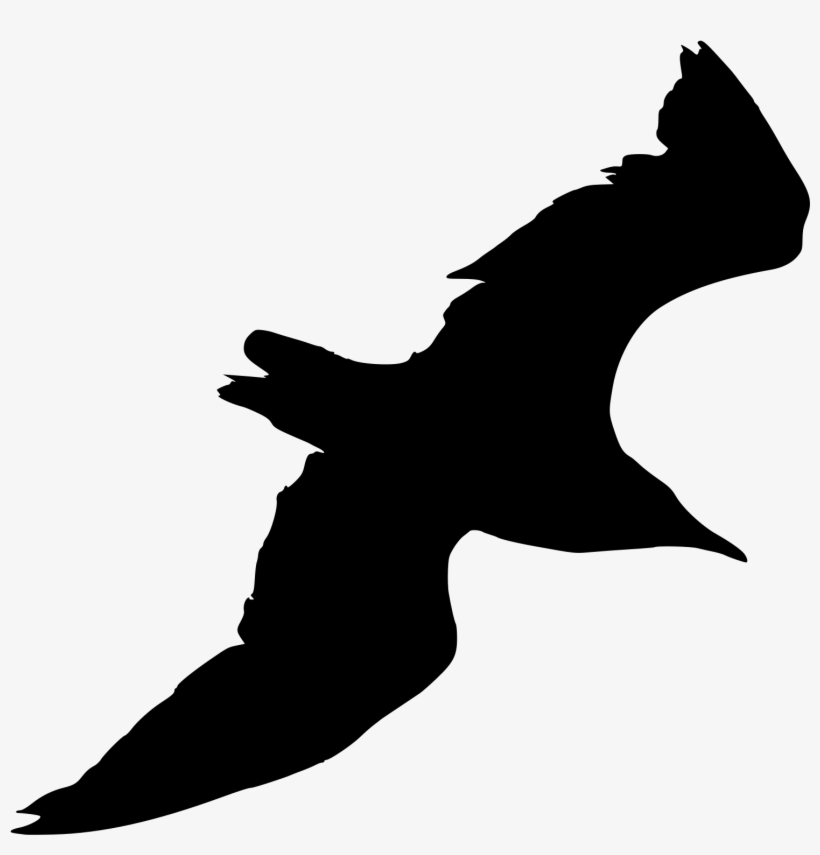Gull Png - Gull Silhouette, transparent png #1506049
