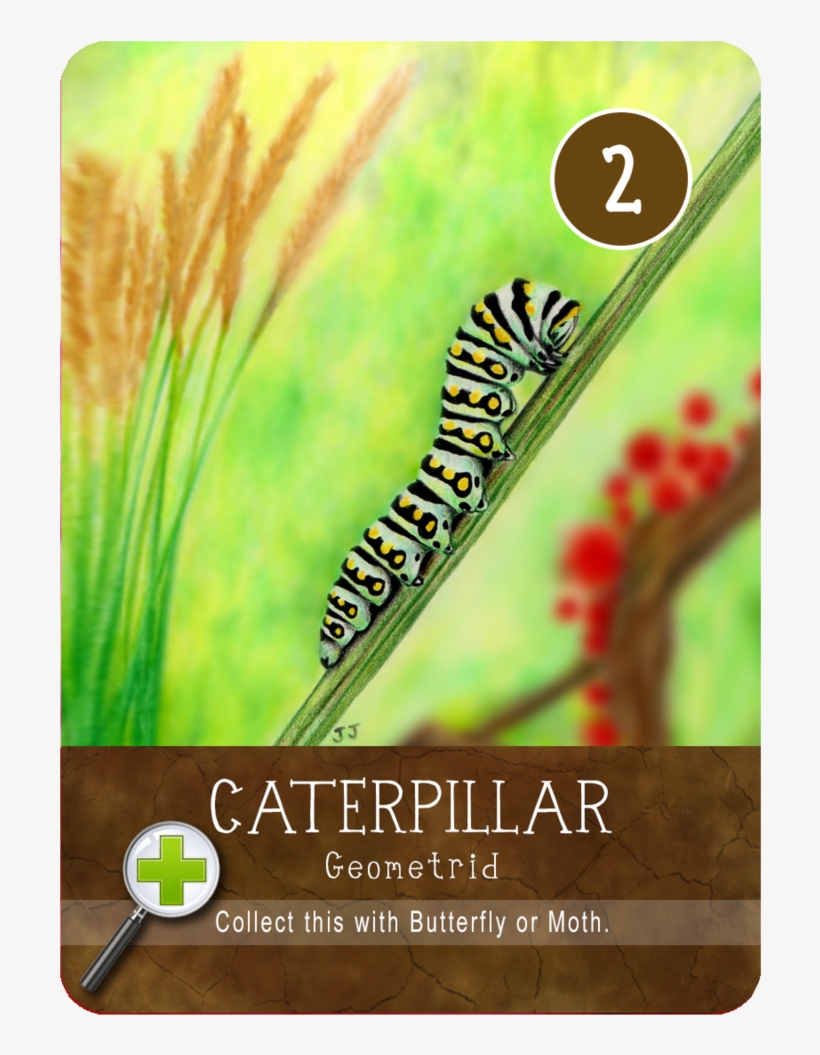 Caterpillar, transparent png #1506070