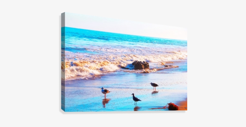 Seagull Bird On The Sandy Beach With Blue Wave Water - Water, transparent png #1506079