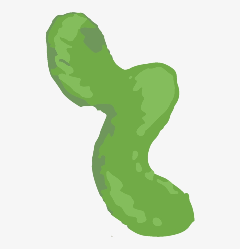 Caterpillar, transparent png #1506129