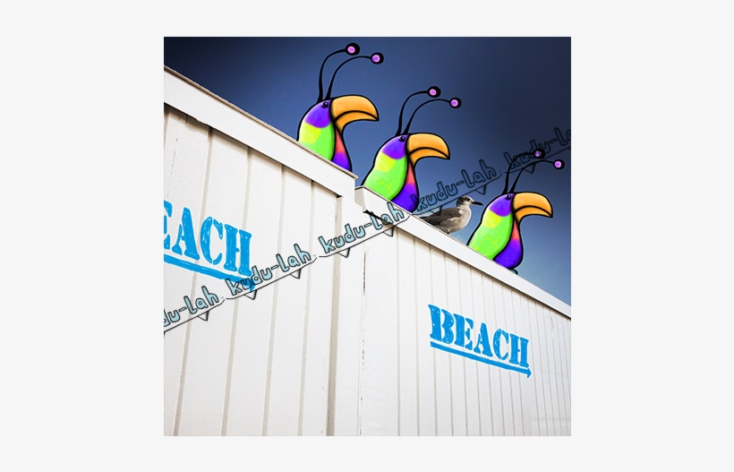 The Seagull By Kudu-lah / Awesome Critter Artwork Featuring - Florida, transparent png #1506246