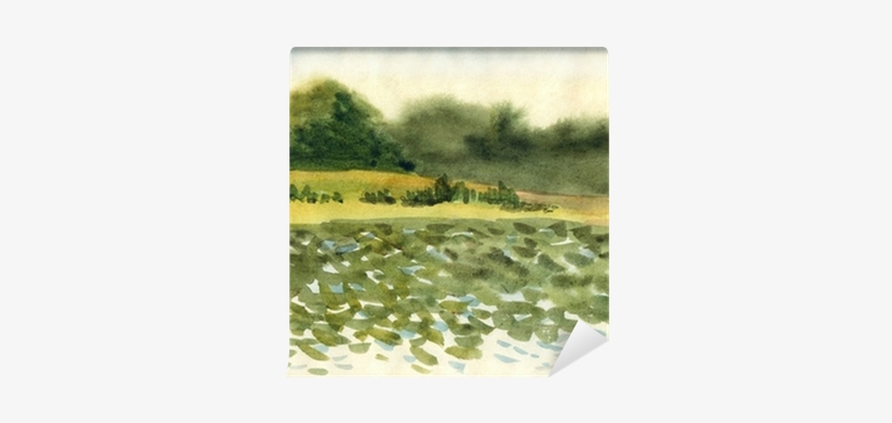 Trees Near The Lake Wall Mural • Pixers® • We Live - Watercolor Painting, transparent png #1507078