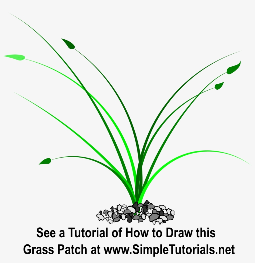 Patch Of Grass, transparent png #1507609