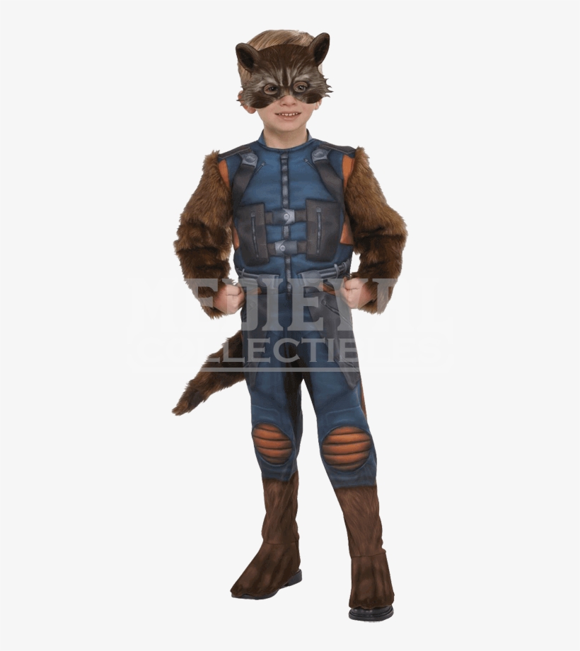 Toddler Rocket Raccoon Costume - Rocket Raccoon Costume, transparent png #1508110