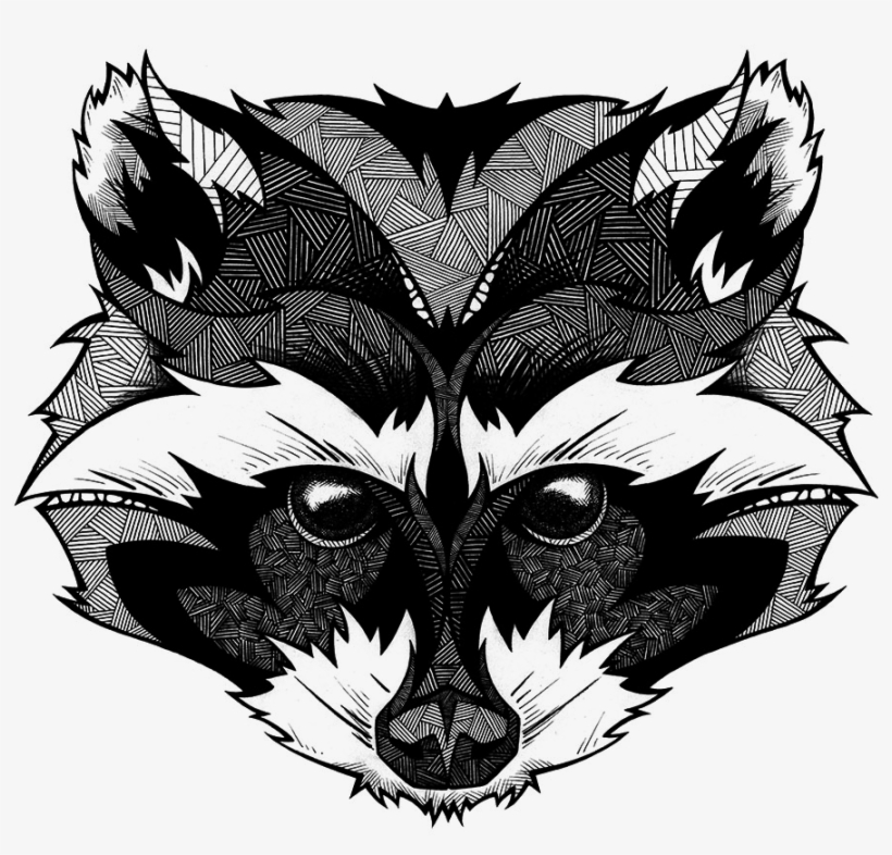 Raccoon Adult Coloring Page, transparent png #1508628