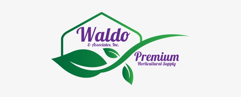 Waldo Logo - Portable Network Graphics, transparent png #1509390