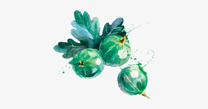 Personalized - Watercolor Berry Transparent, transparent png #1509900