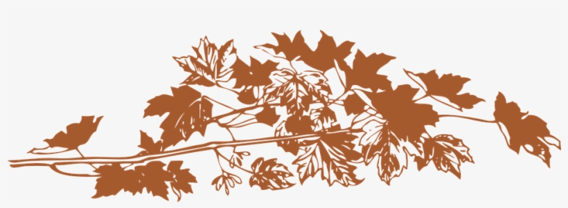 Brown Leaves, Leaves, Leaf, Beautiful Foliage Png Image - Autumn Leaves Png, transparent png #1510068
