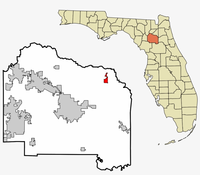 County Florida, transparent png #1510376