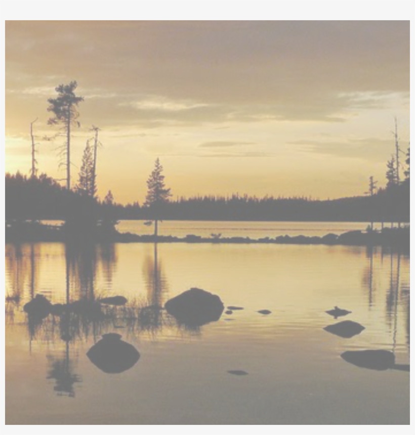 Waldo Backdrop - Reflection, transparent png #1510424